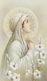 Maria, heiligenbilder.de